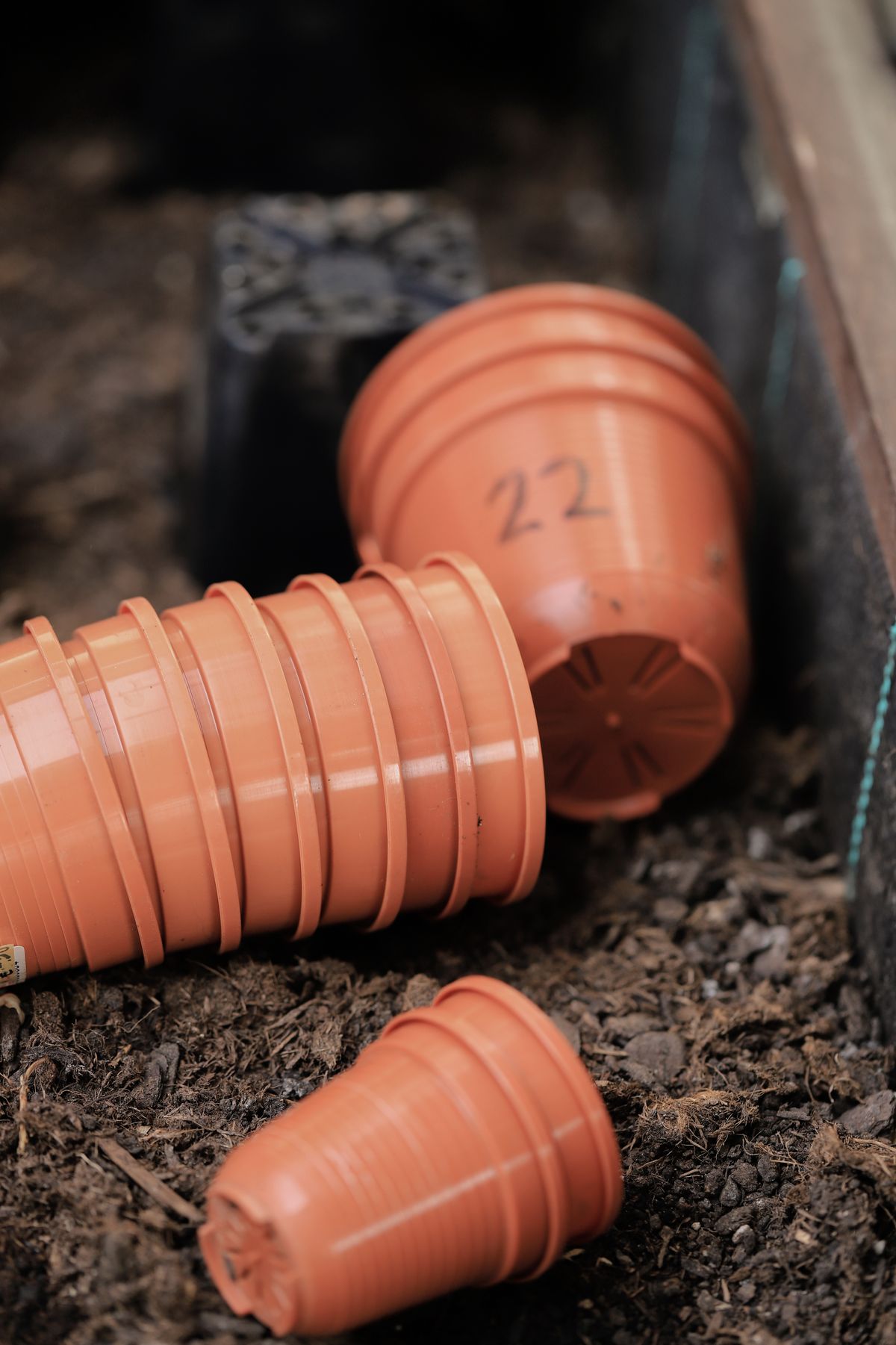 Empty terracotta pots in a garden