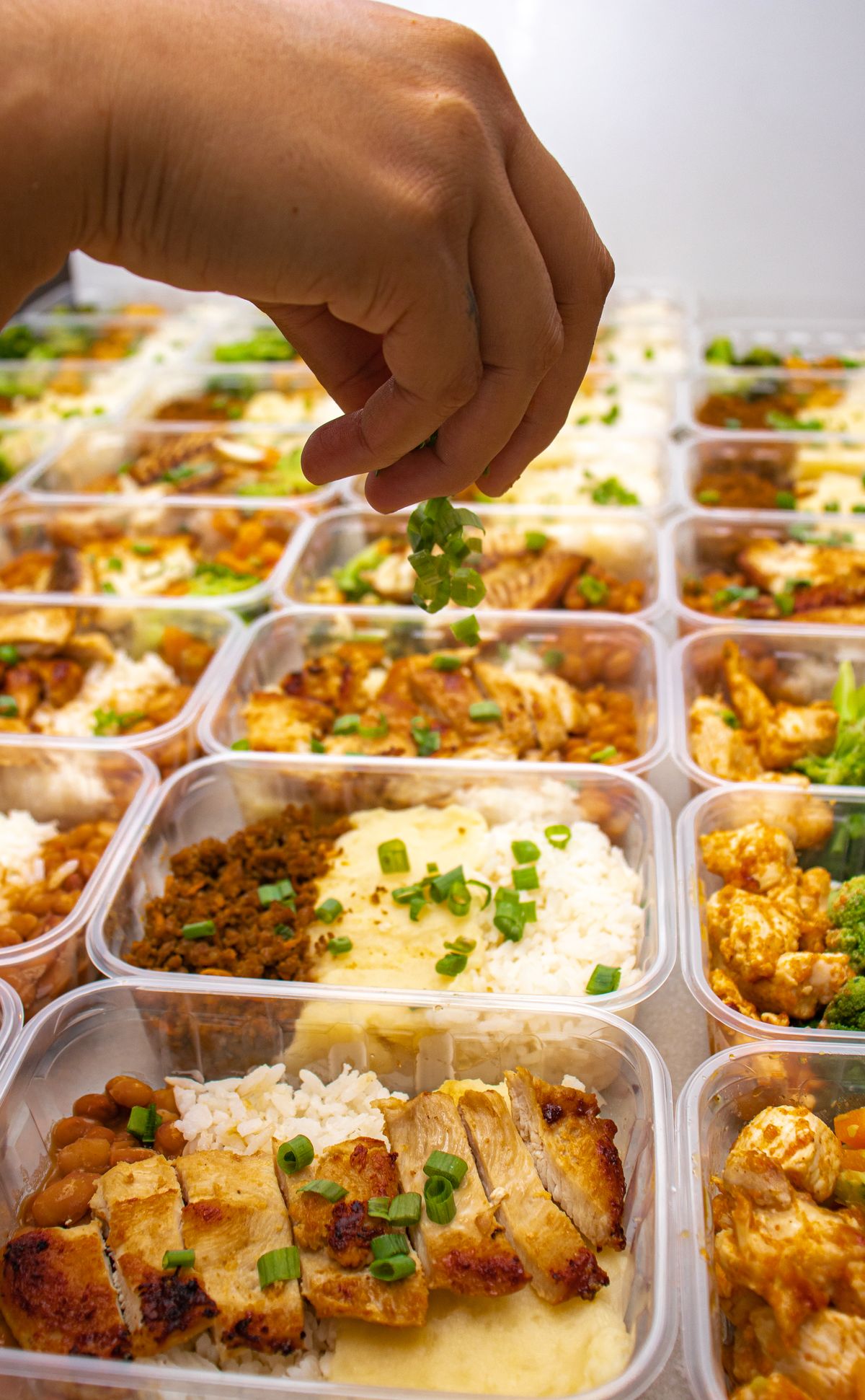 Portioned meals in containers
